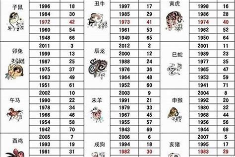 2023屬狗幸運物|2023年12生肖運勢大全——生肖狗